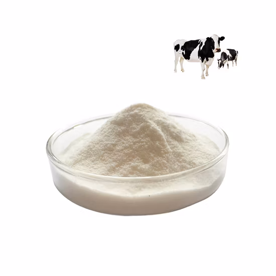 Food Grade Type I Collagen (Fish) 9064-67-9 Nutrition Fortifier/Nutritional Supplements